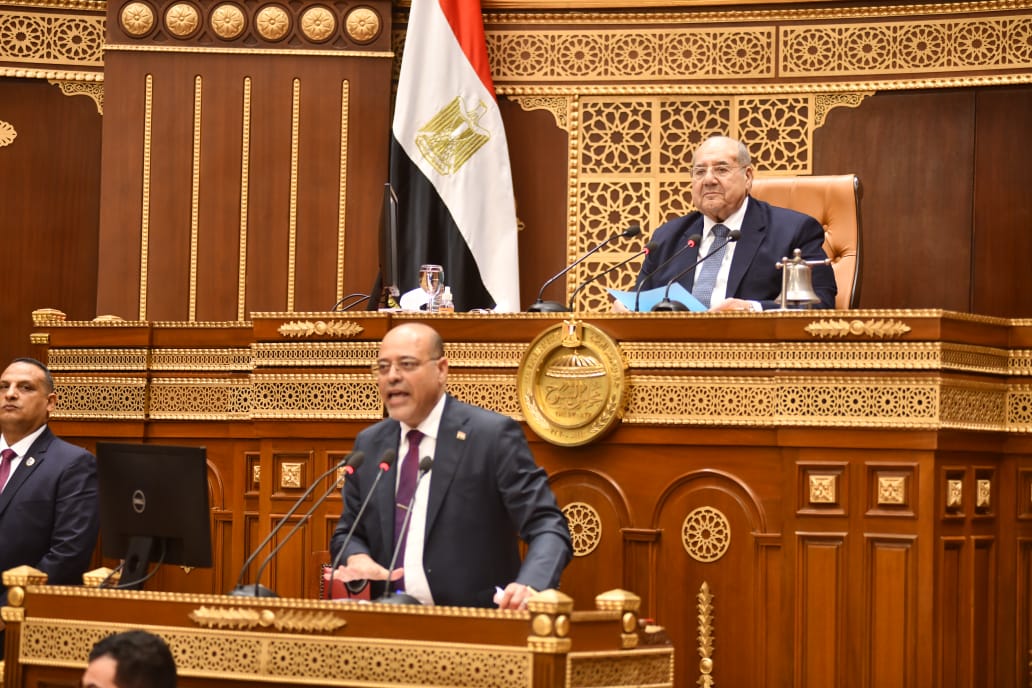 وزير القوى العامله 